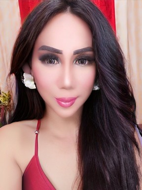 Thai ladyboys for dating / Ladyboys from Philippines for dating